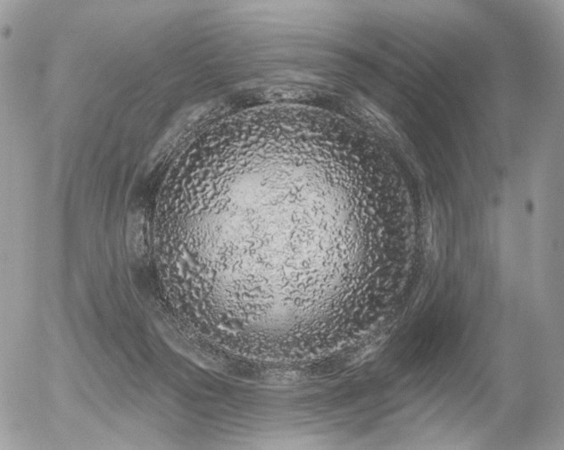 X0000056310169200508261138