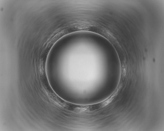 X0000056310170200508261138
