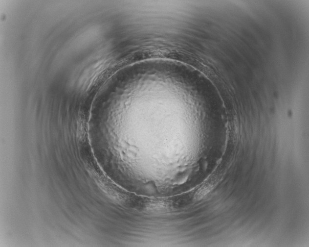 X0000056310177200508261139