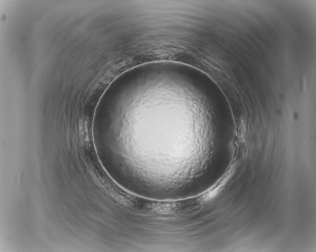 X0000056310182200508261139