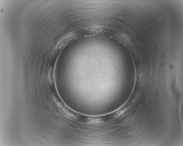 X0000056310185200508261139