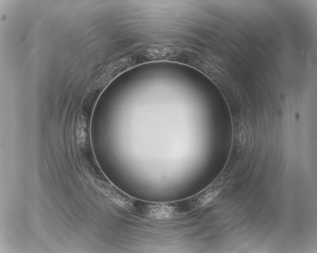 X0000056310226200508261137