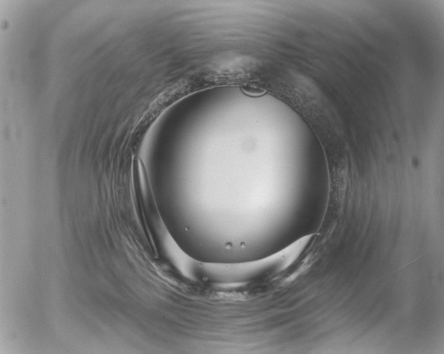 X0000056310232200508261137