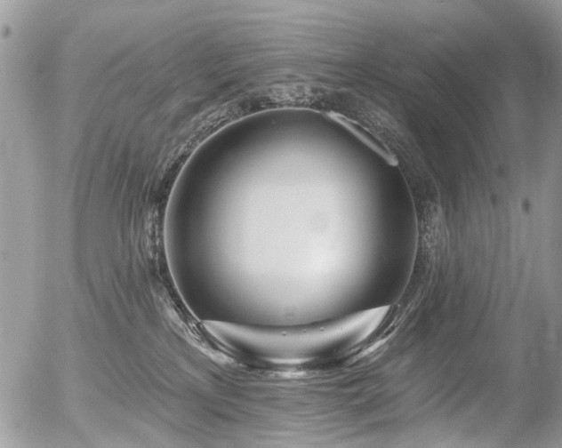 X0000056310233200508261137