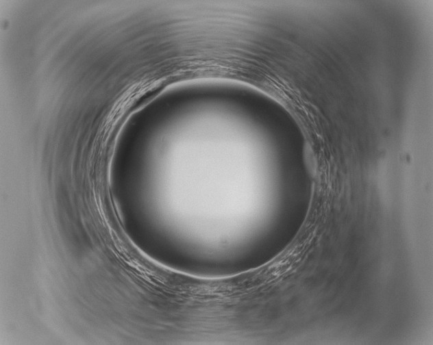 X0000056310241200508261136