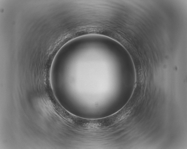 X0000056310255200508261137