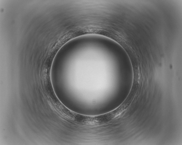X0000056310263200508261137