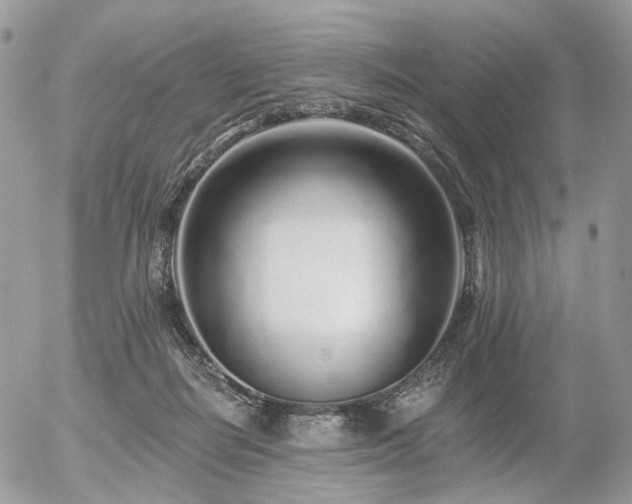 X0000056310266200508261137