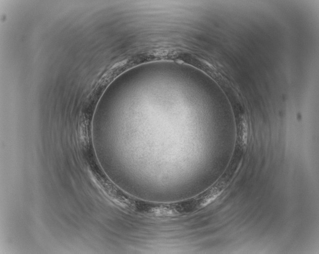 X0000056310272200508261137