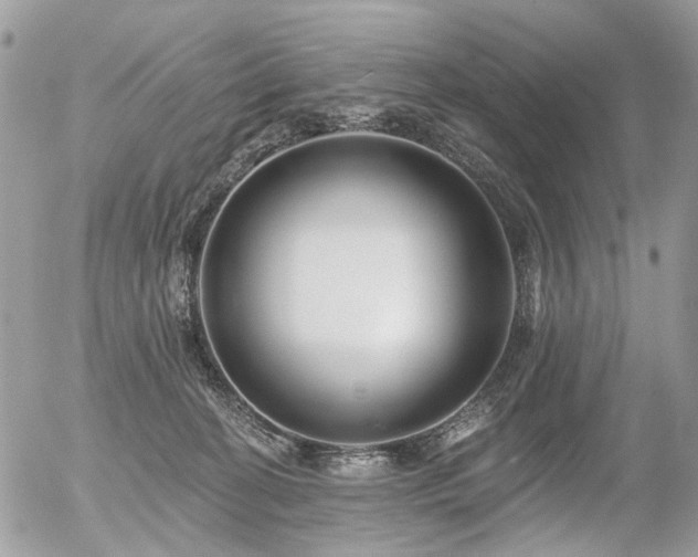 X0000056310274200508261137