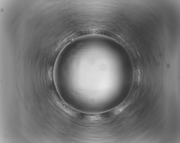 X0000056310286200508261137