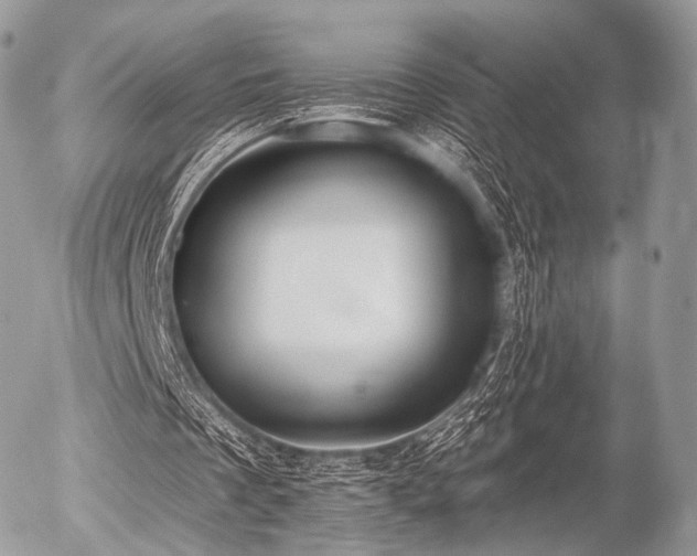 X0000056310289200508261136