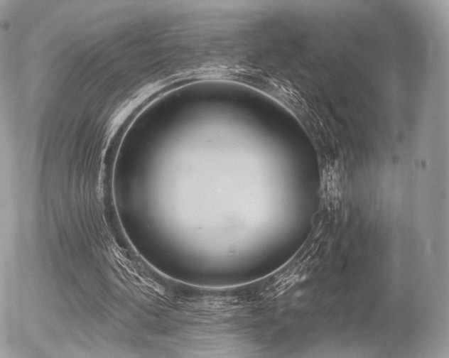 X0000056310292200508261136