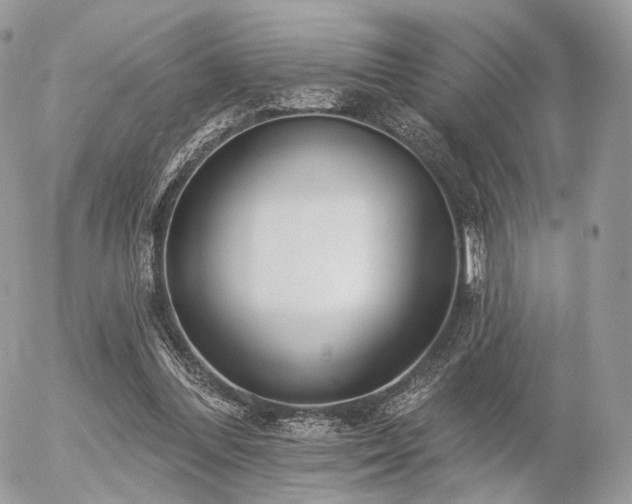 X0000056310300200508261136