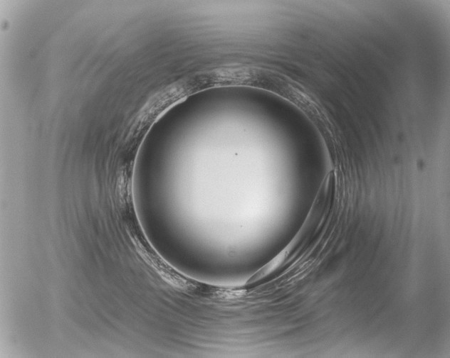 X0000056310333200508261136
