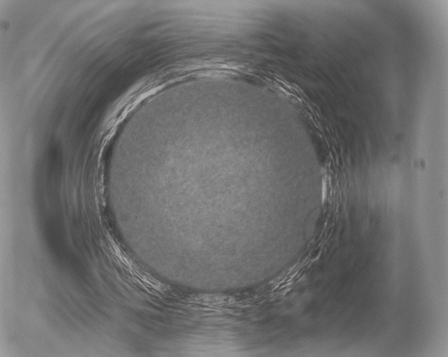 X0000056310339200508261135