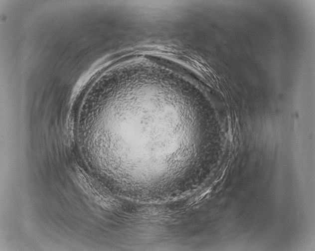 X0000056310343200508261135