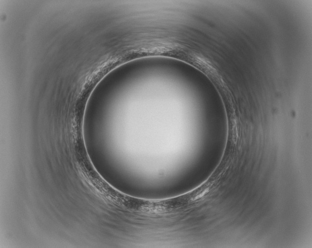 X0000056310354200508261135