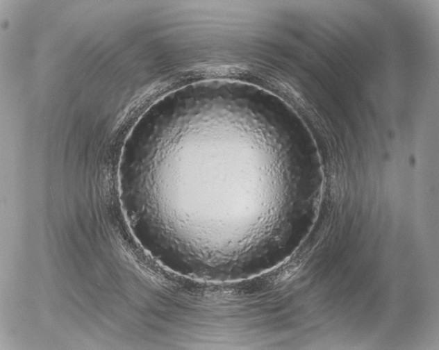X0000056310357200508261135