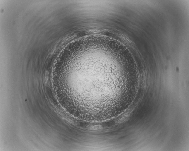 X0000056310361200508261135