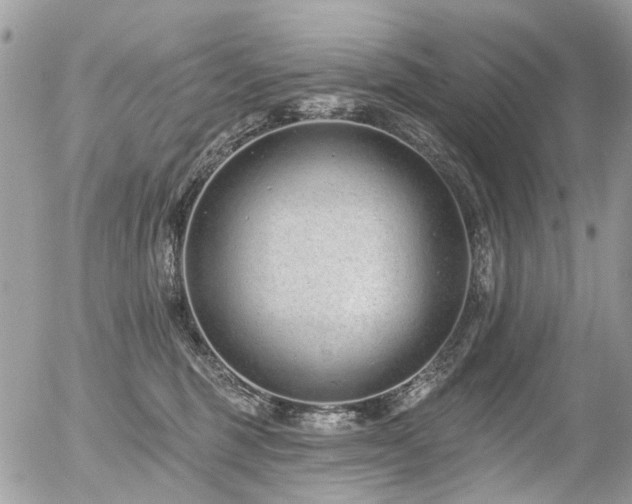 X0000056310375200508261135
