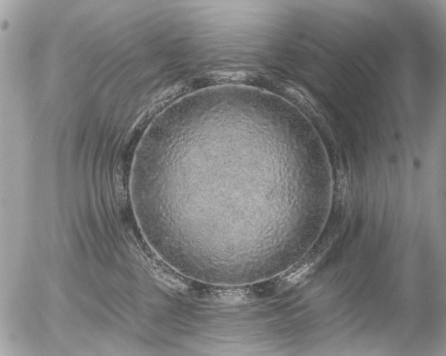 X0000056310377200508261136