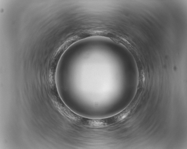 X0000056310380200508261136
