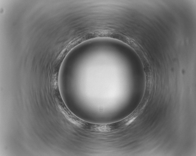 X0000056310383200508261136