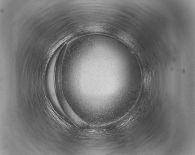 X0000056310390200508261135