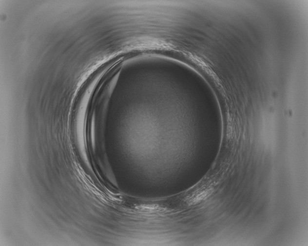 X0000056310391200508261135