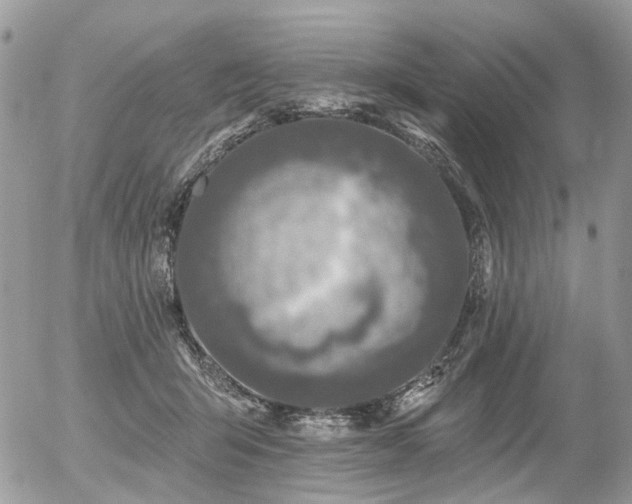 X0000056310415200508261134