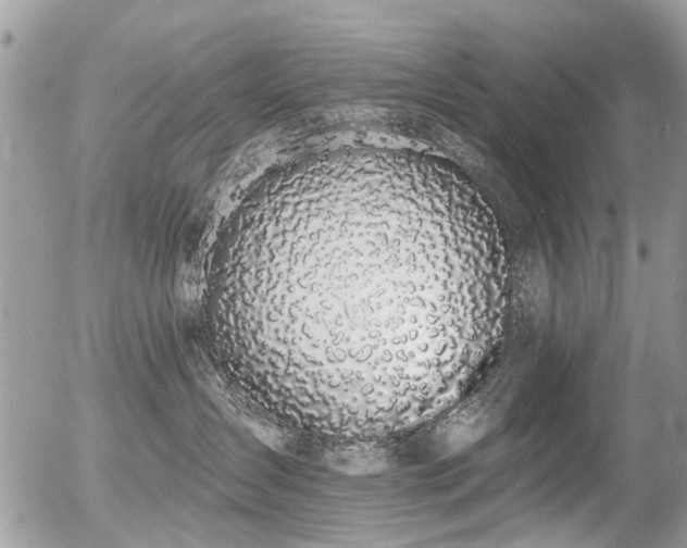 X0000056310431200508261134
