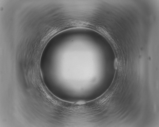 X0000056310433200508261133