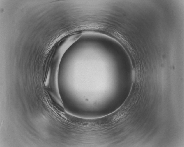 X0000056310434200508261133