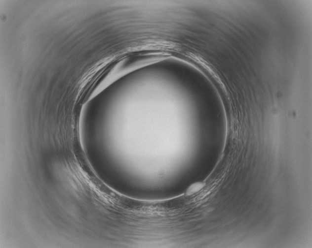 X0000056310437200508261133