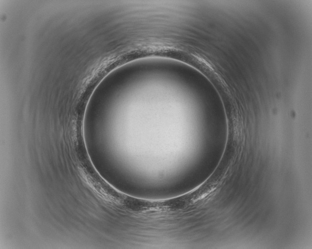 X0000056310447200508261133