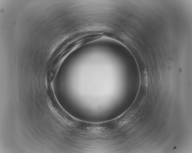 X0000056310448200508261133