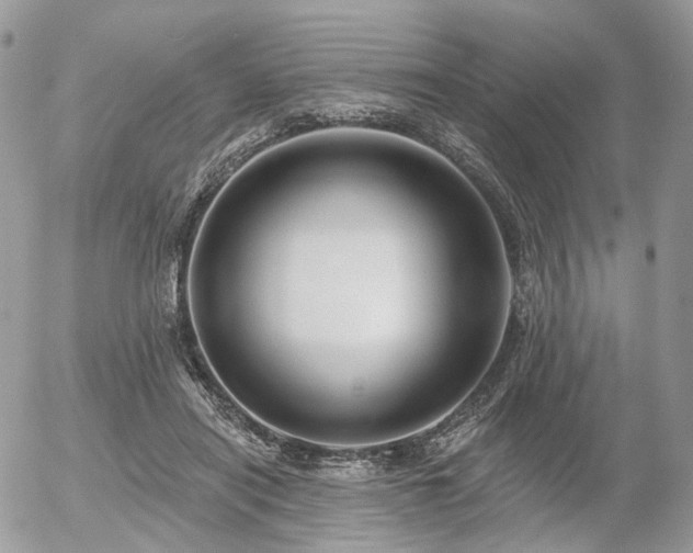 X0000056310454200508261134