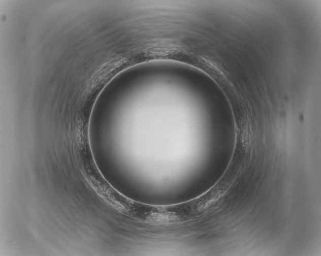X0000056310455200508261134