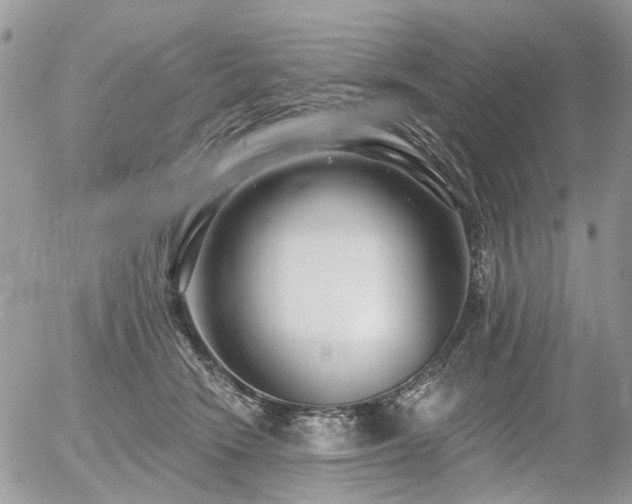 X0000056310466200508261134