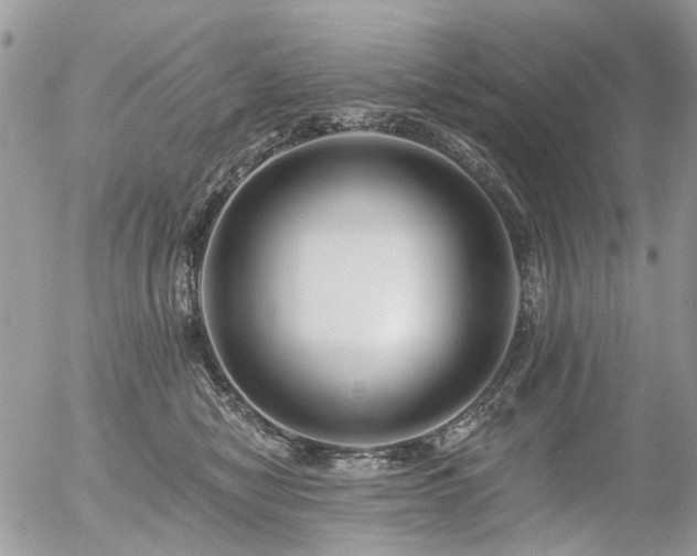 X0000056310470200508261134