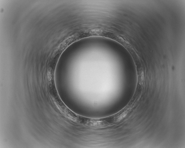 X0000056310472200508261134