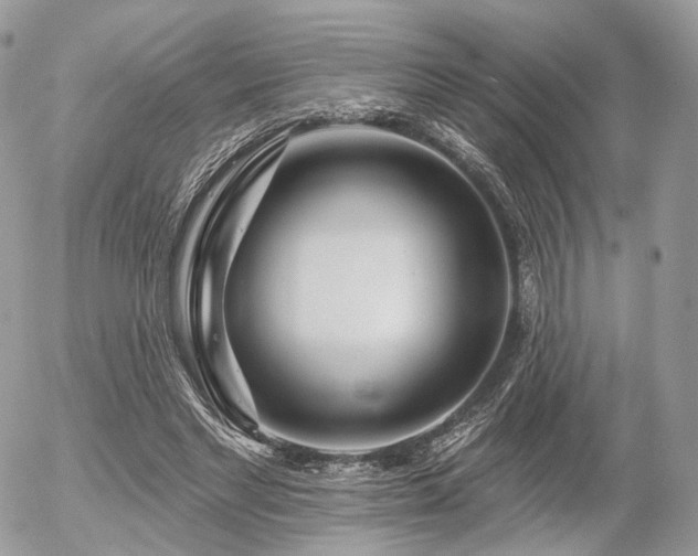 X0000056310493200508261133