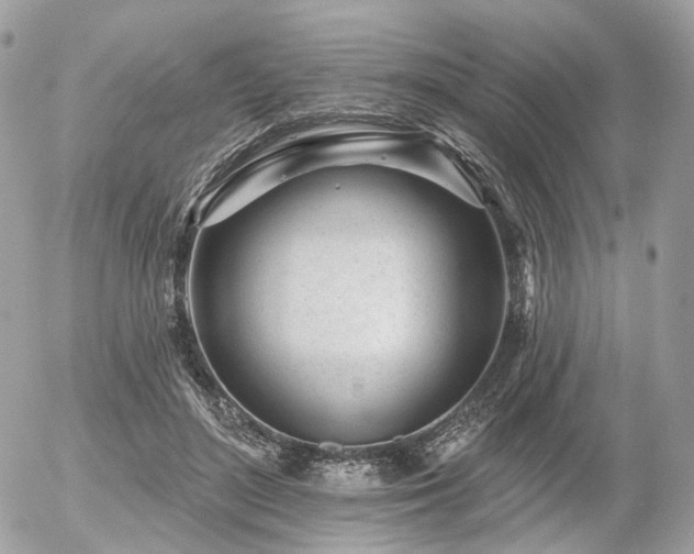 X0000056310500200508261133