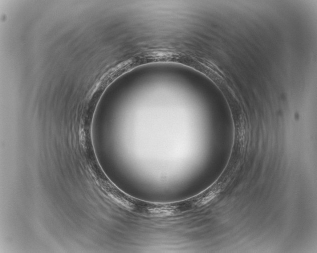 X0000056310516200508261133