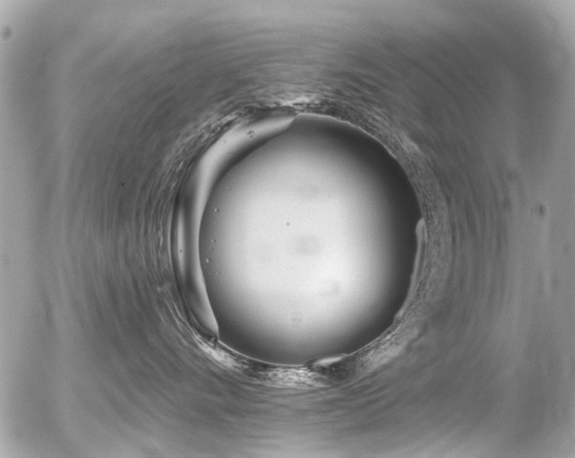 X0000056310528200508261132