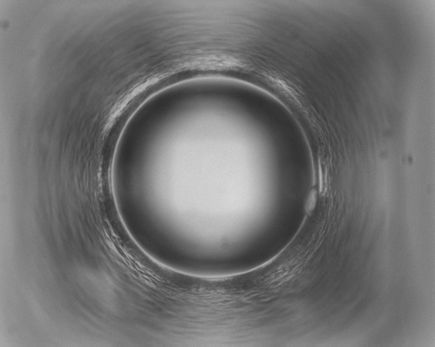 X0000056310531200508261132