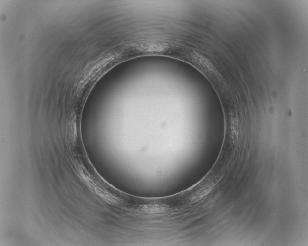 X0000056310541200508261132