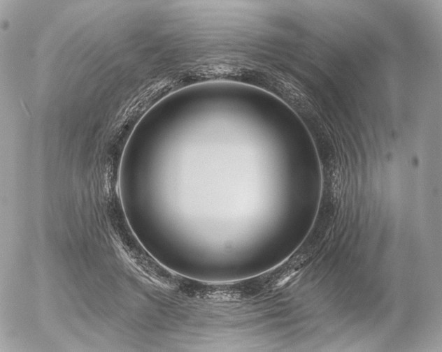 X0000056310546200508261132