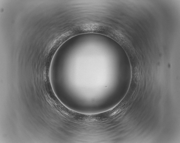 X0000056310547200508261132
